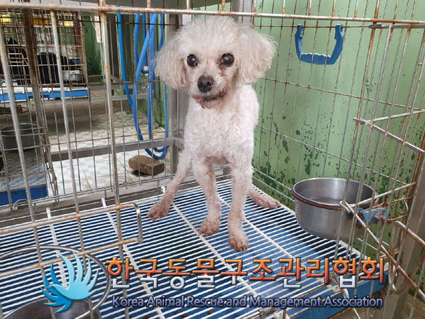 한국동물구조관리협회_411318202300276